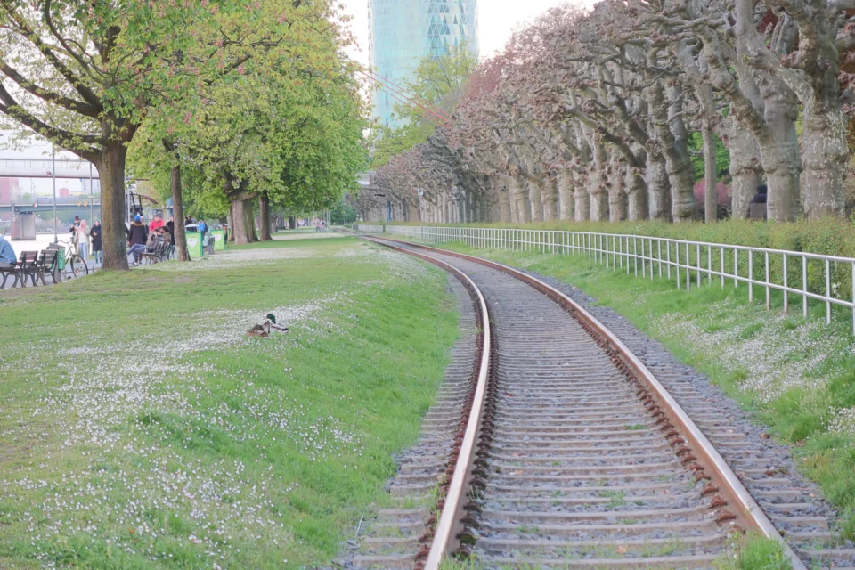 Railway of Frankfurt main with trees and green grass on two sides